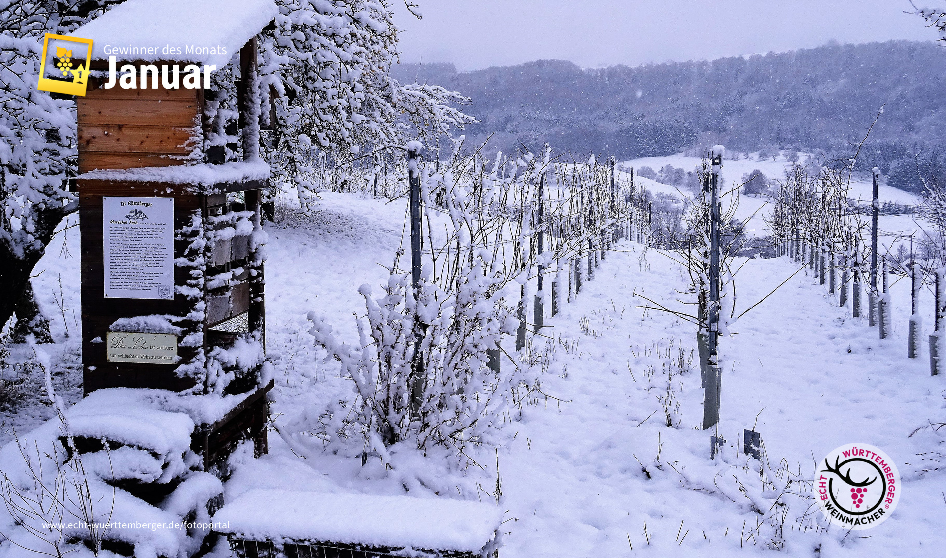 Insektenturm im Winterkleid