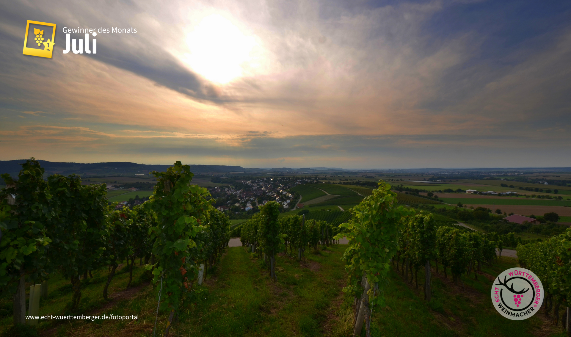 Hohenloher Weinlandschaften