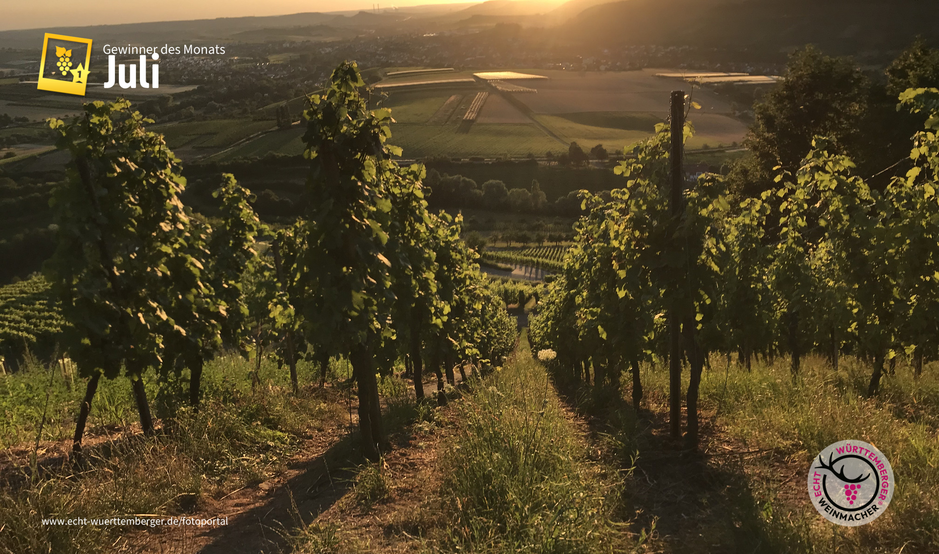 Abendstimmung im Weinsberger Tal