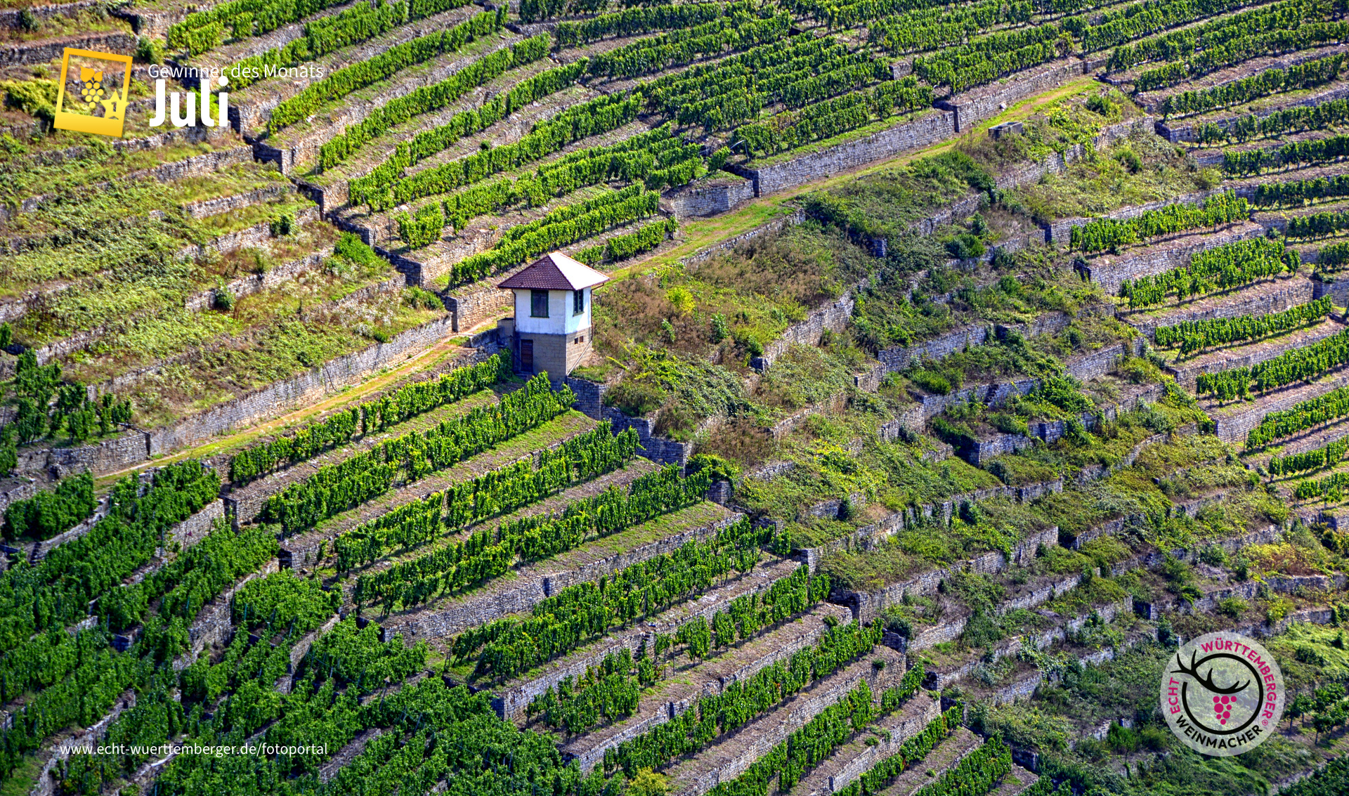 Steil.Lagen.Wein