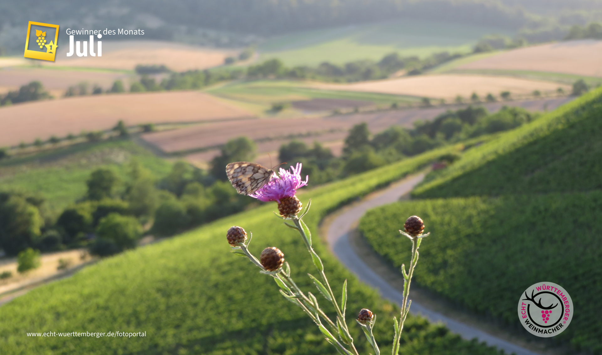 Weinbergbesucher