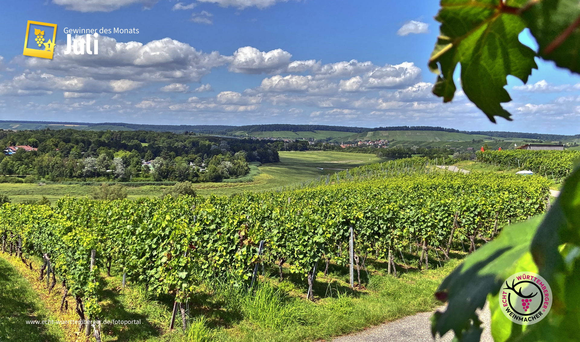 Wengert mit Aussicht ins "grüne Tal"