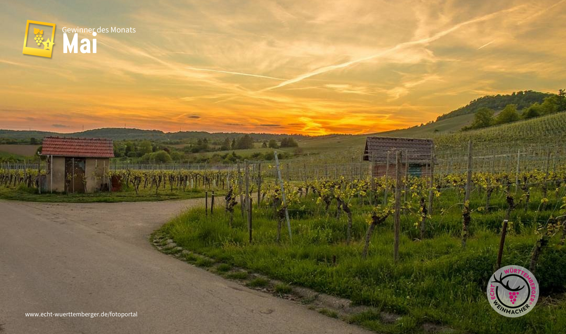 Malerische Lichtstimmung am Wunnenstein