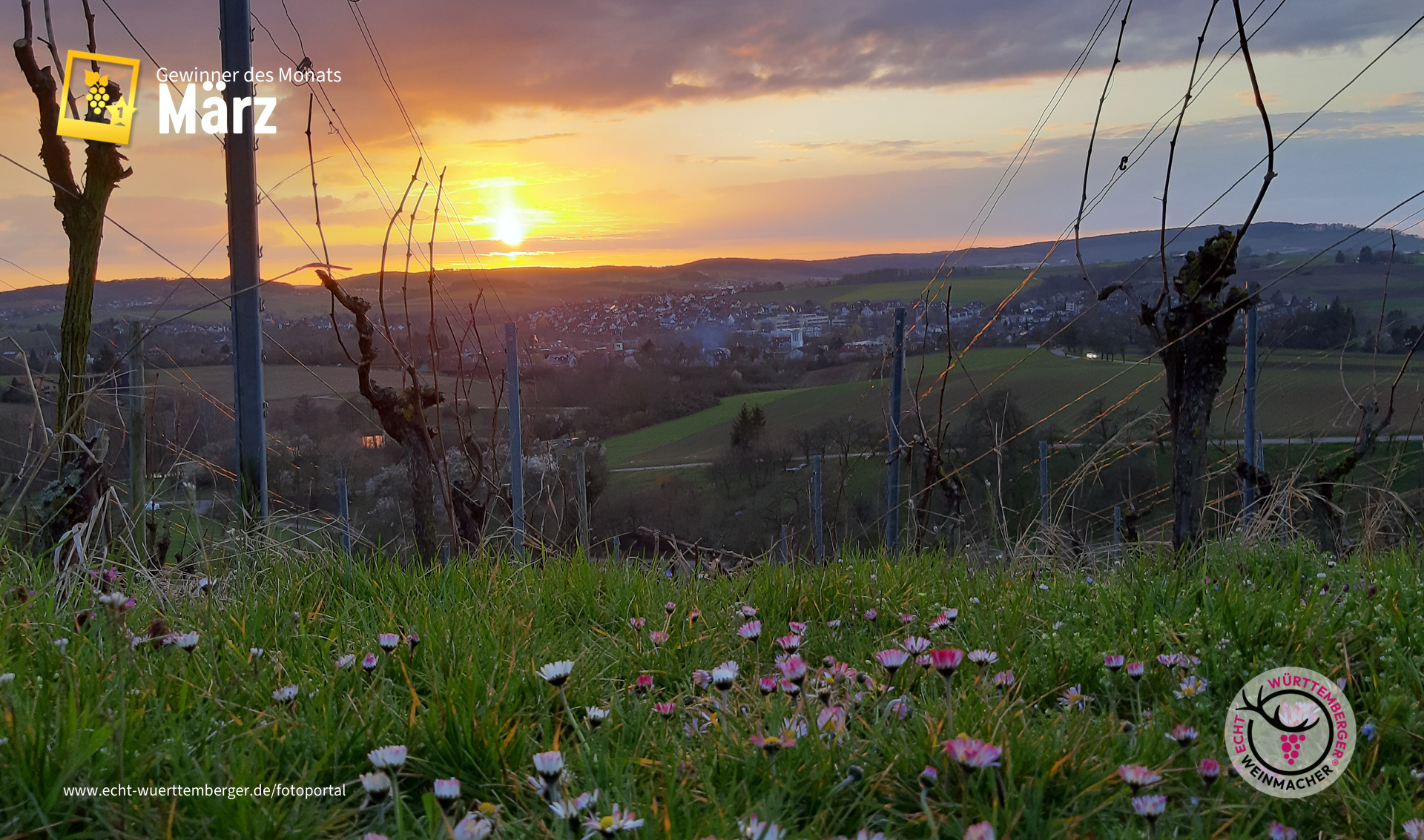 Sonnenuntergang am Lindelberg