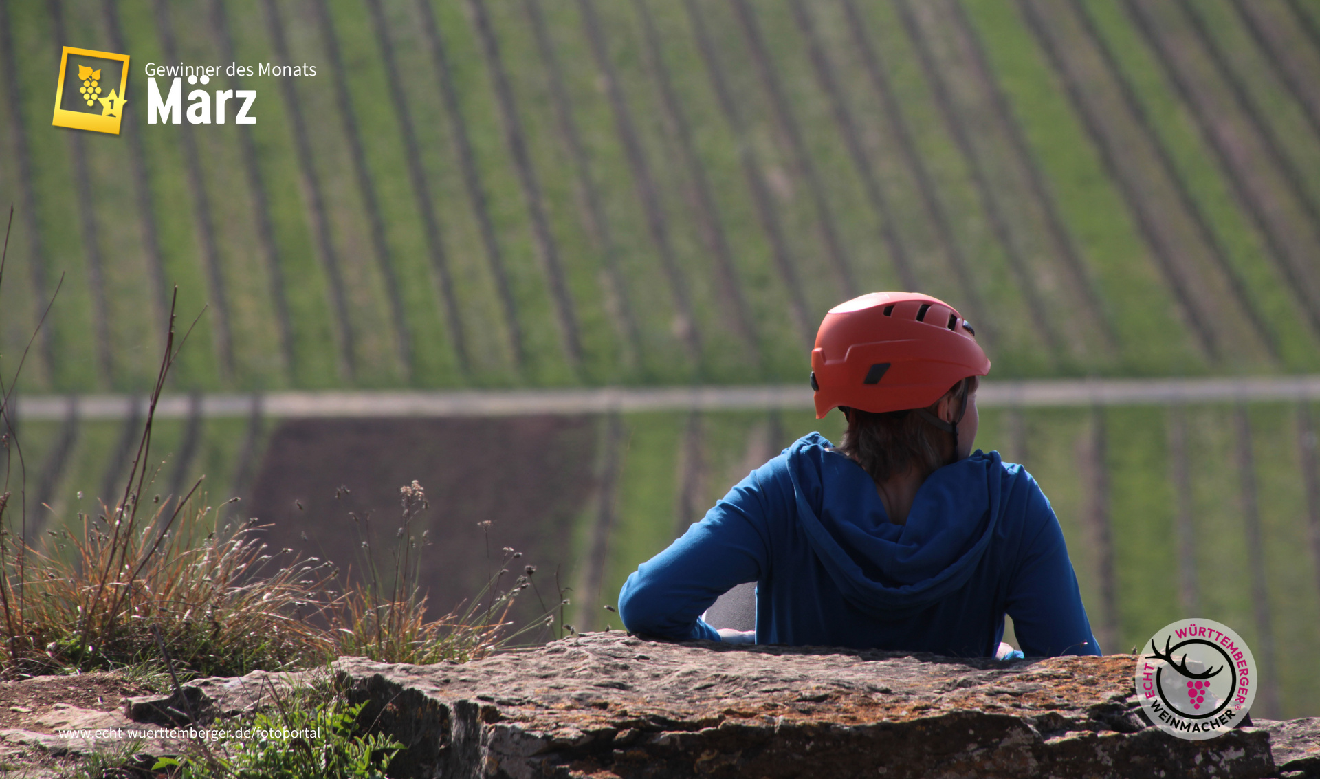 Weinbergblick