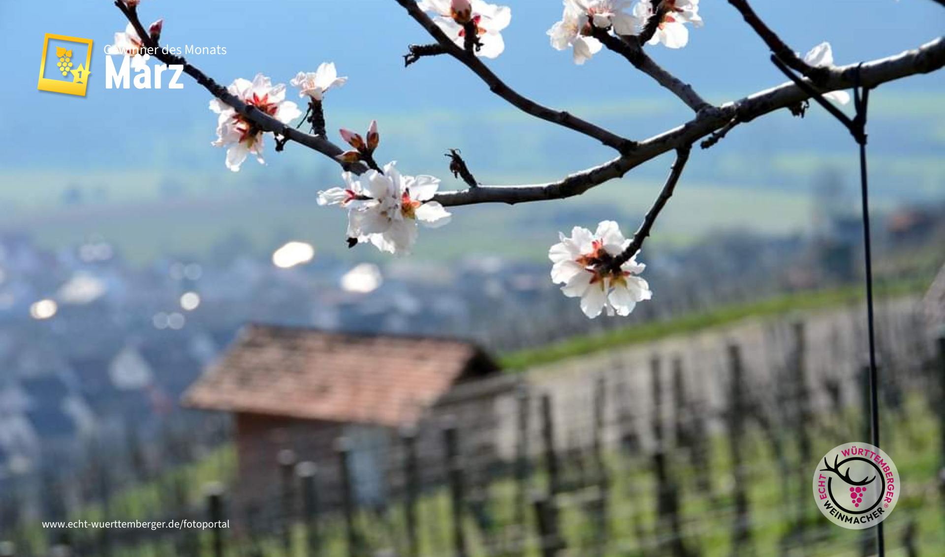 Startschuss in den Frühling