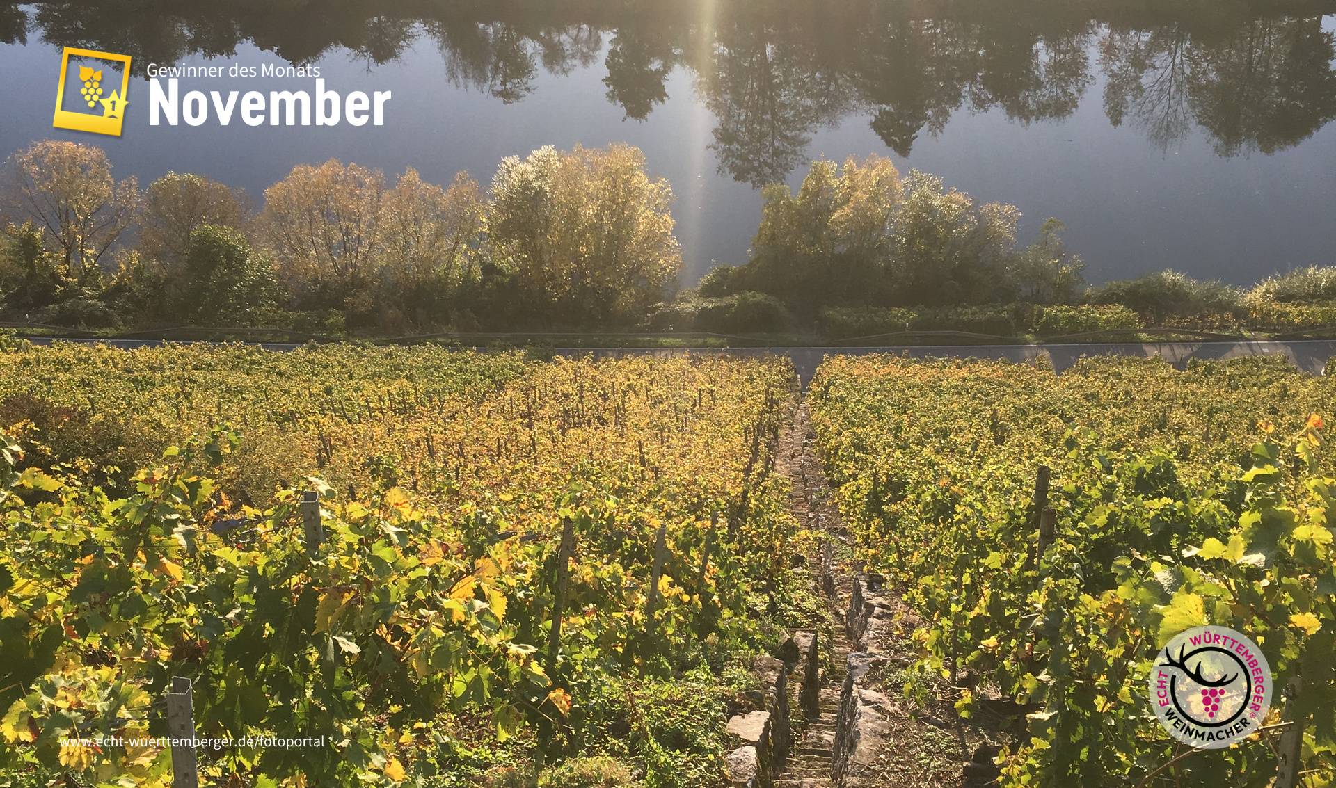 Eingefangener Sonnenschein