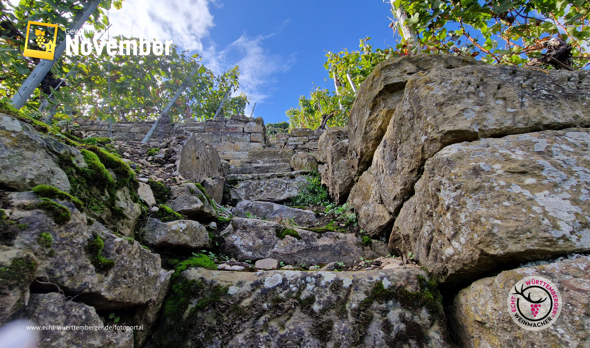 Lauffener Steillagen