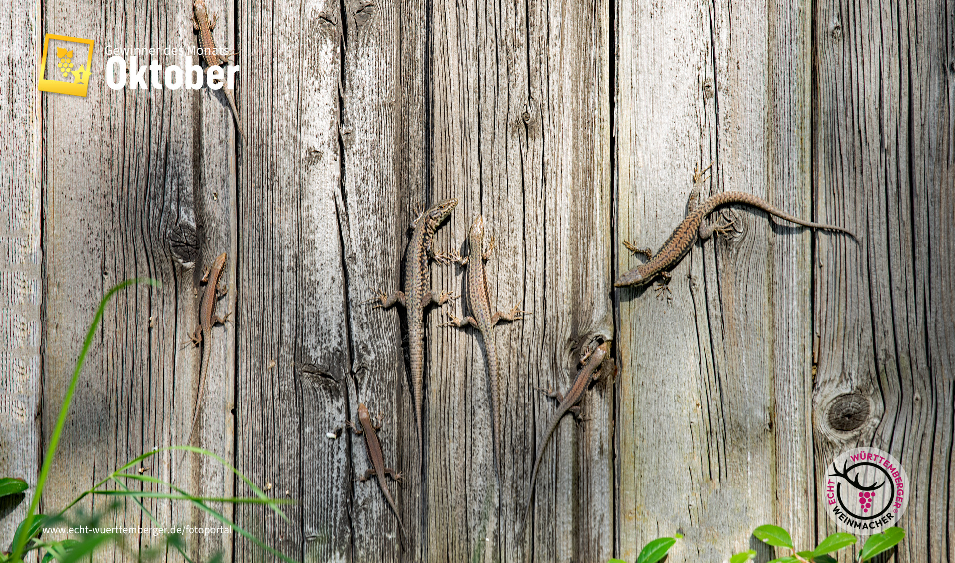 Besuch beim Weinberghaus