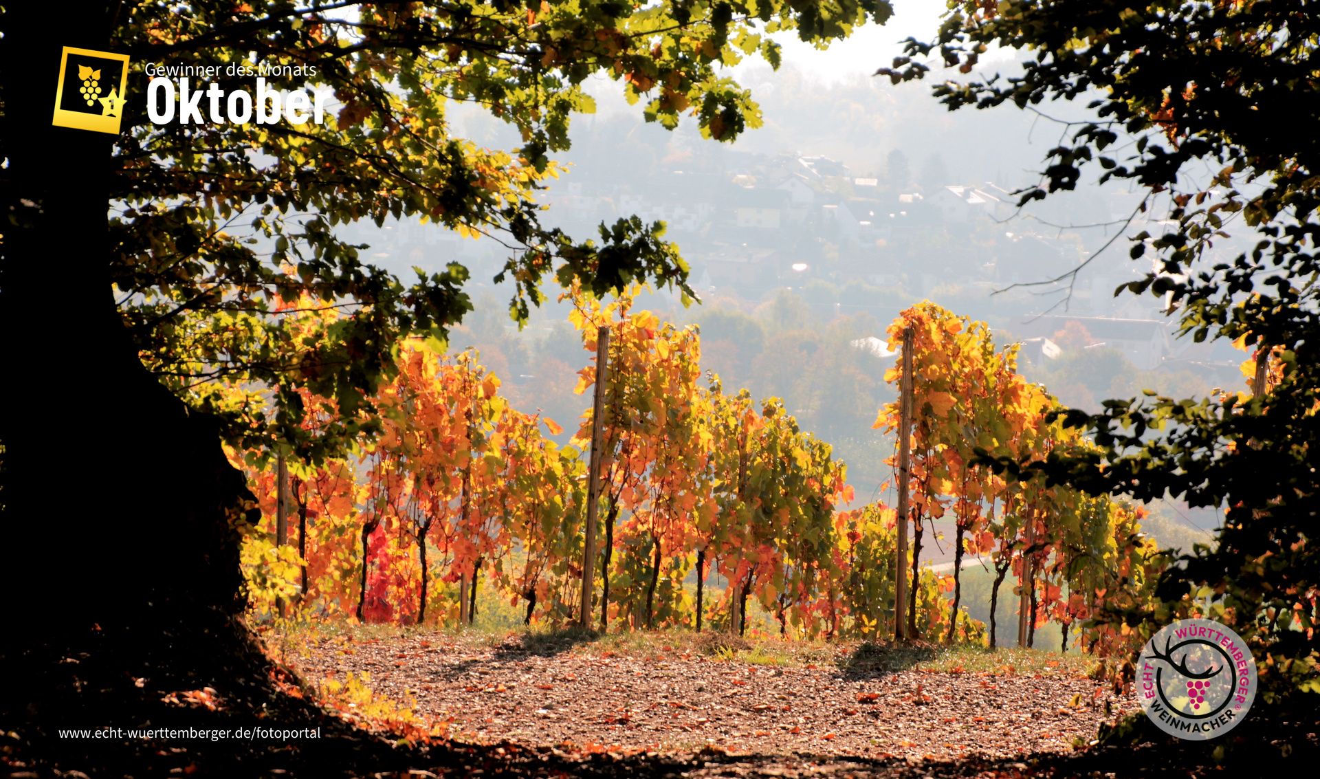 ...ganz langsam wird es Herbst