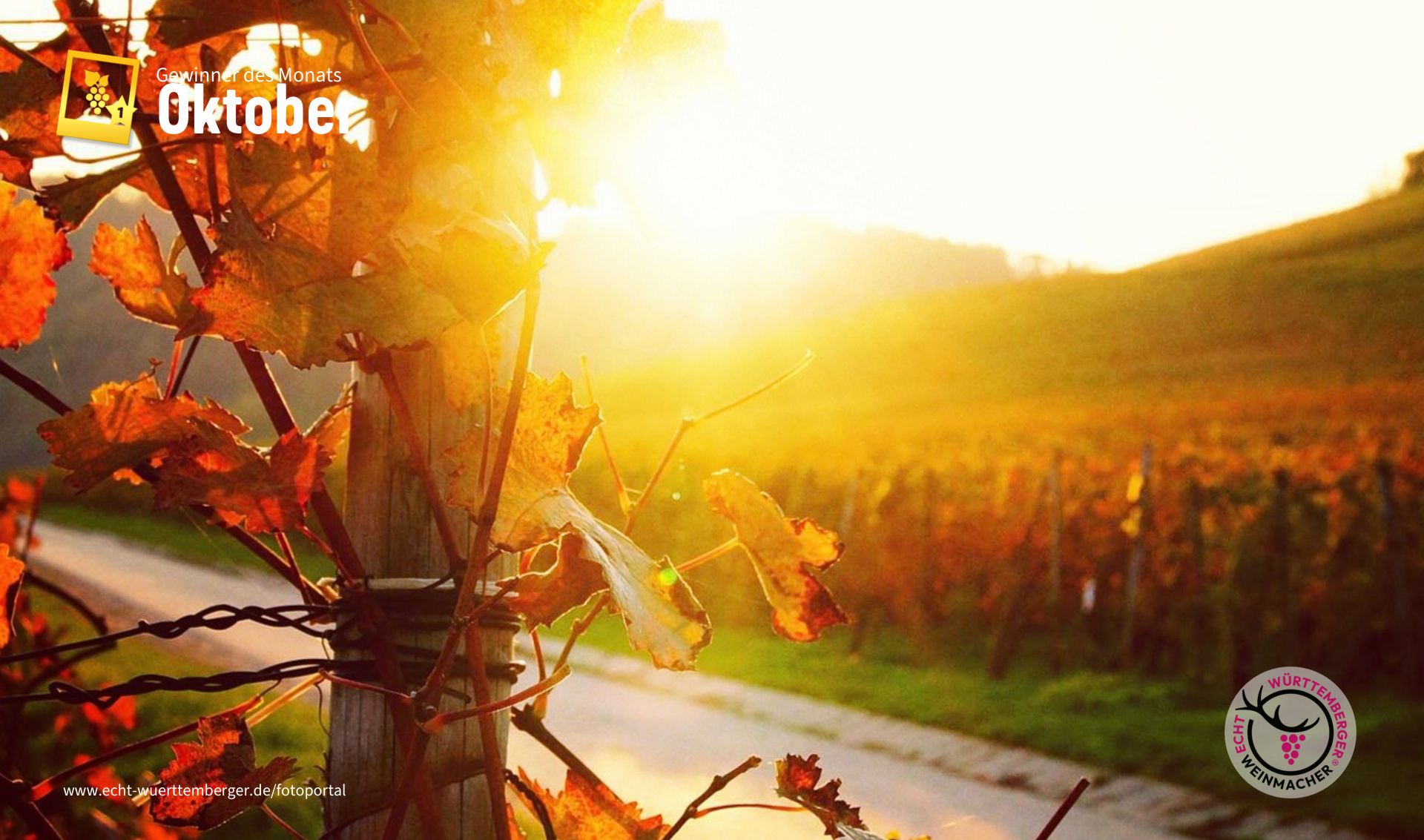 Letzte Sonnenstrahlen