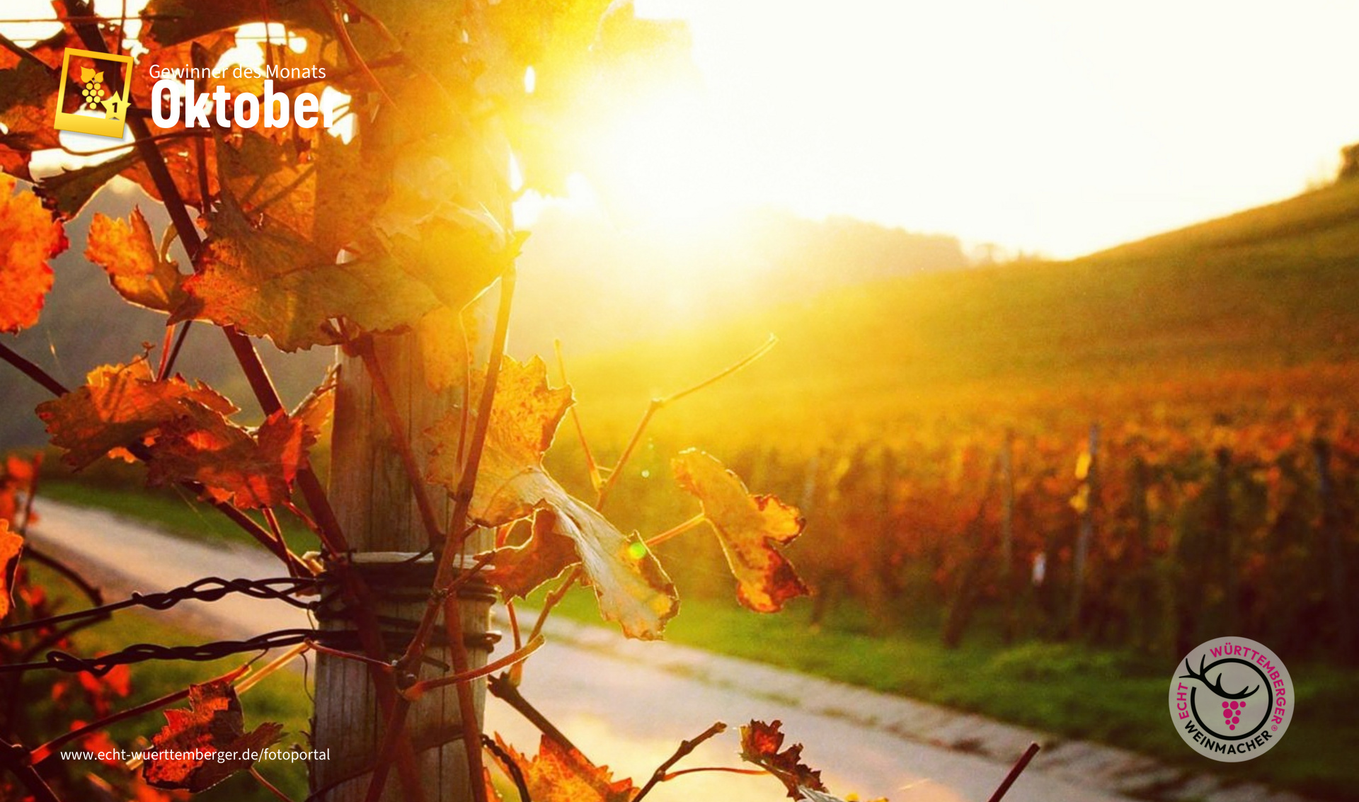 Letzte Sonnenstrahlen