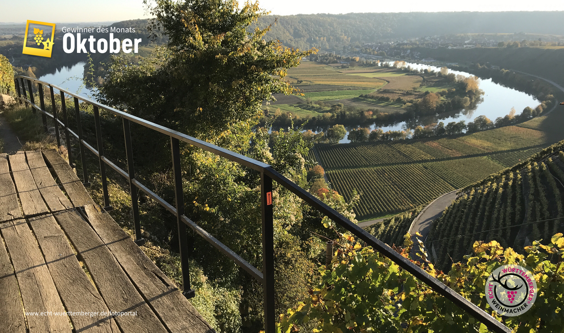 Mundelsheimer Käsberg