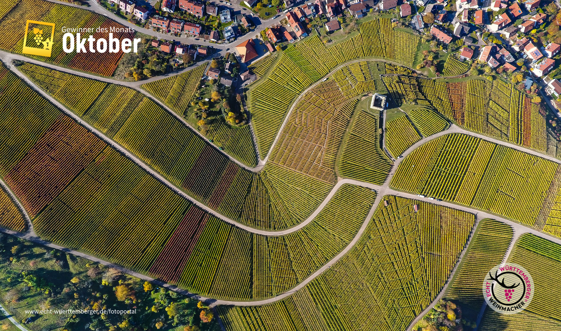 Weinberge - Eine Sinfonie aus Formen und Farben