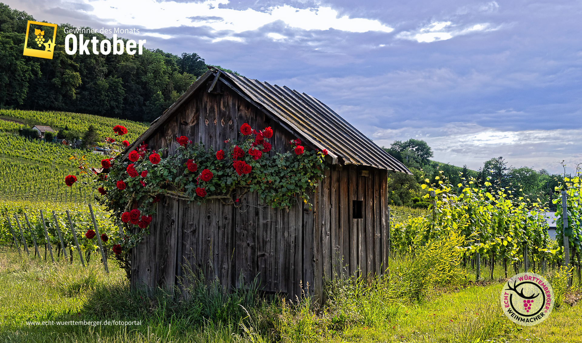 Altes Wengerthäusle