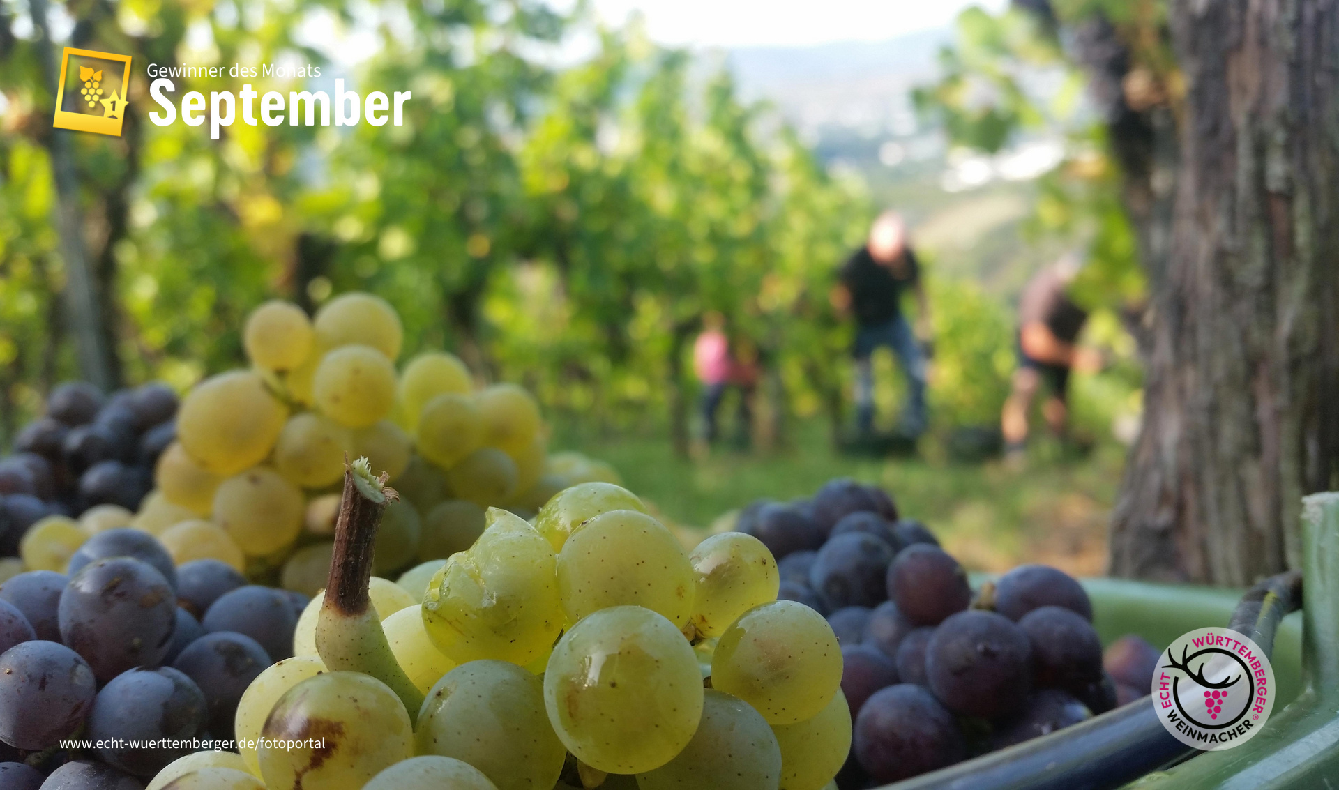 Herbsten im Spätsommer