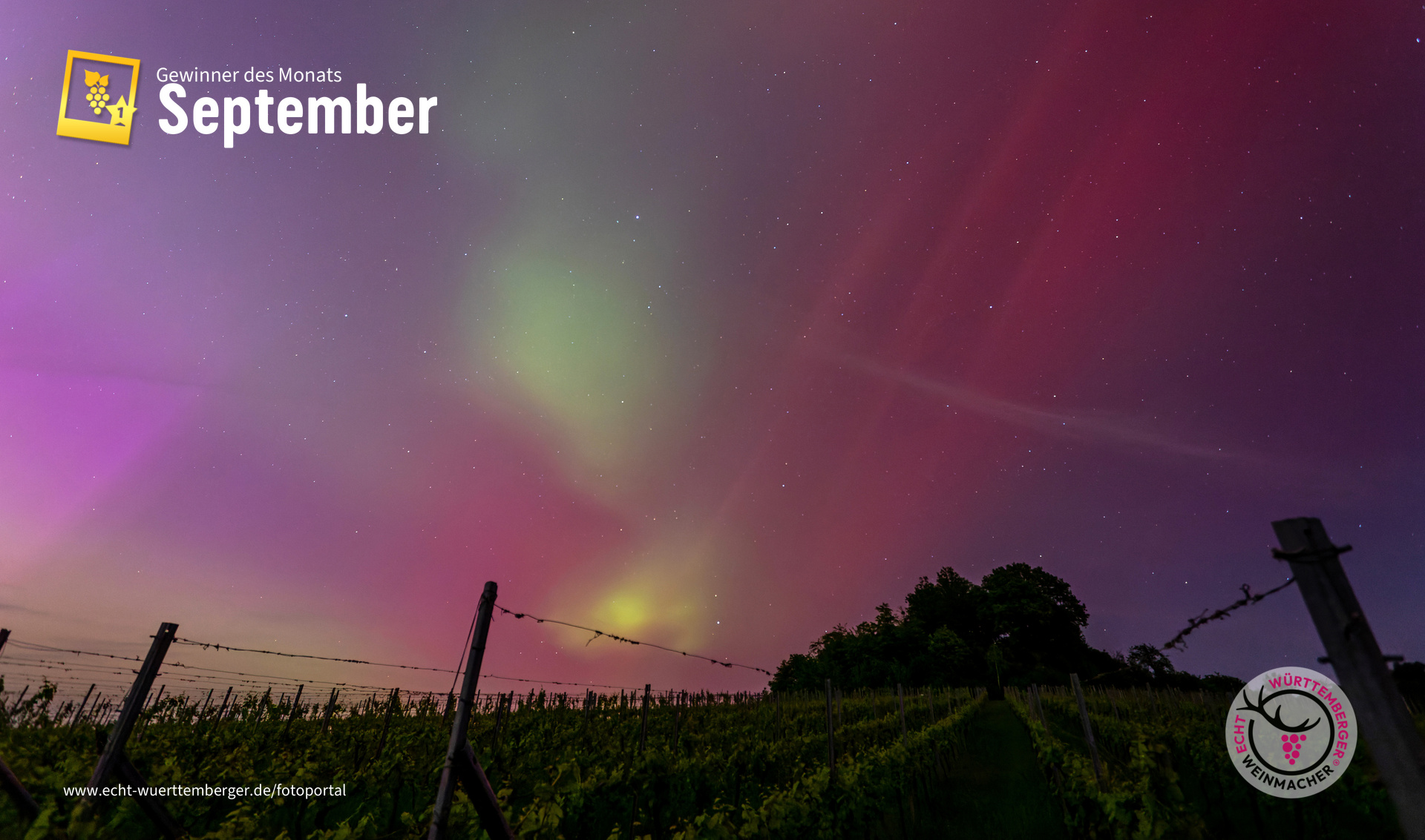 Weinberg unter Polarlicht