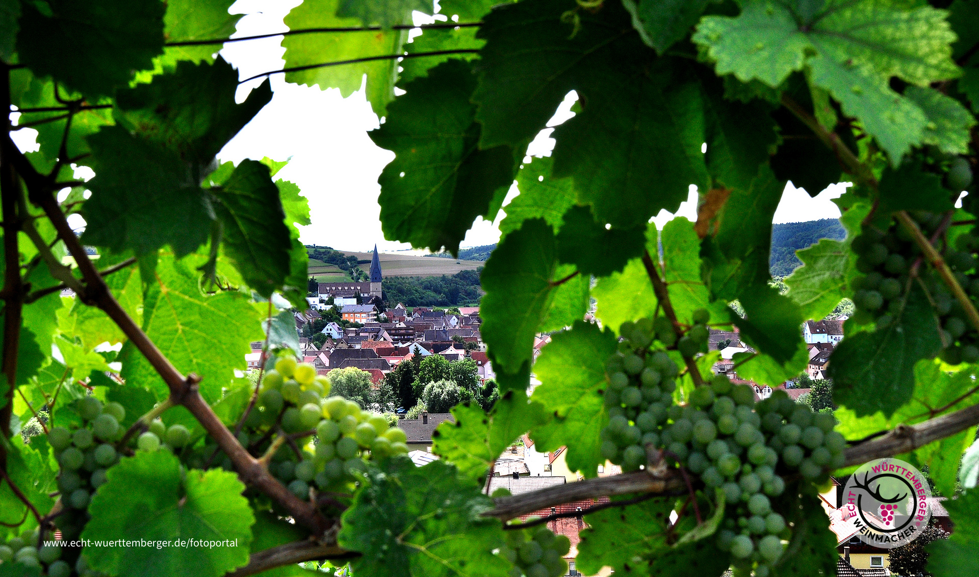 Durch-Blick