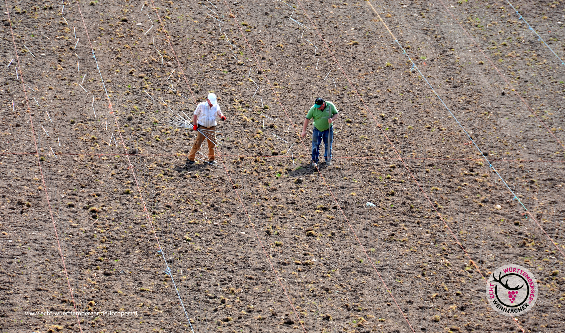 Am Anfang war die Arbeit...