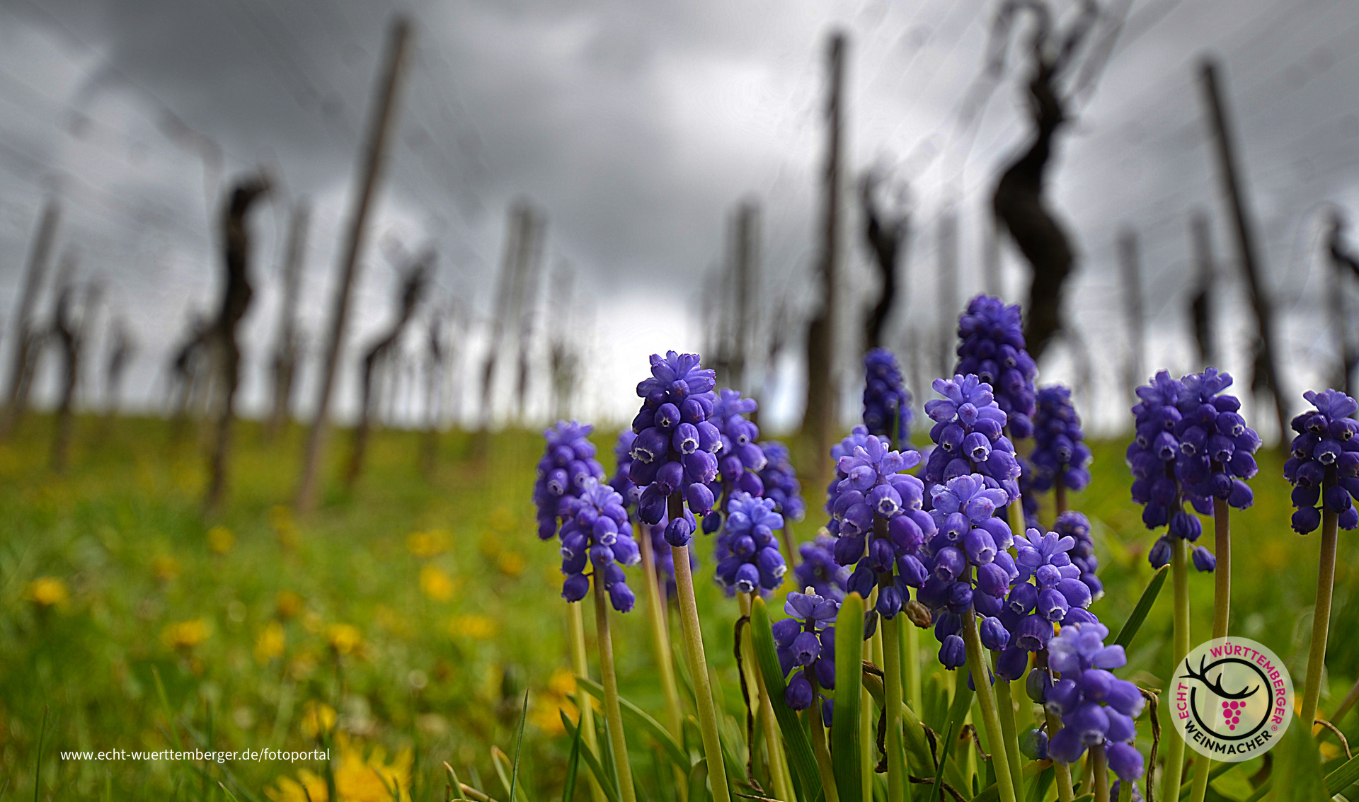 Aprilwetter