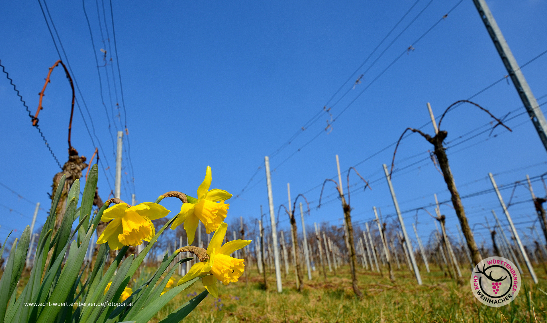 Frohe Ostern!