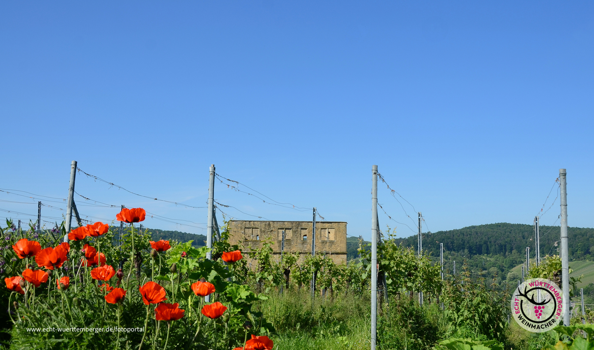 Pulvermächer und Brotwasser, zwei begehrte Lagen an der Y-Burg.