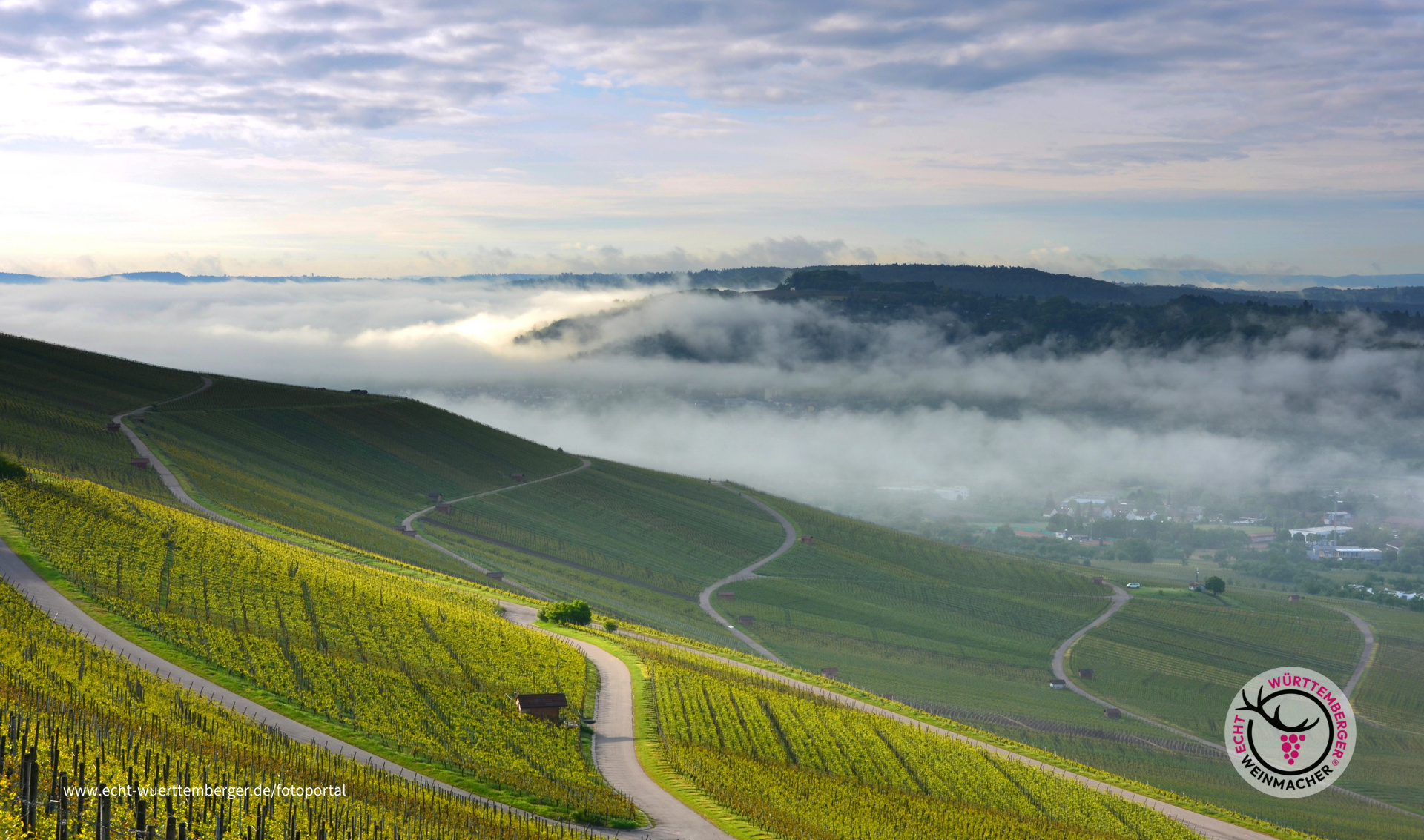 Frühaufsteher