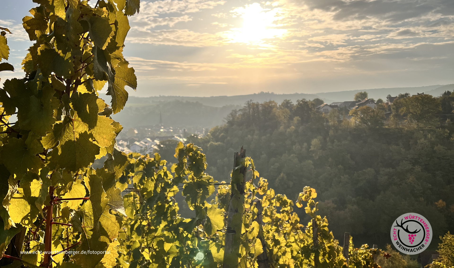 Hinter dem Brunnen in Walheim 