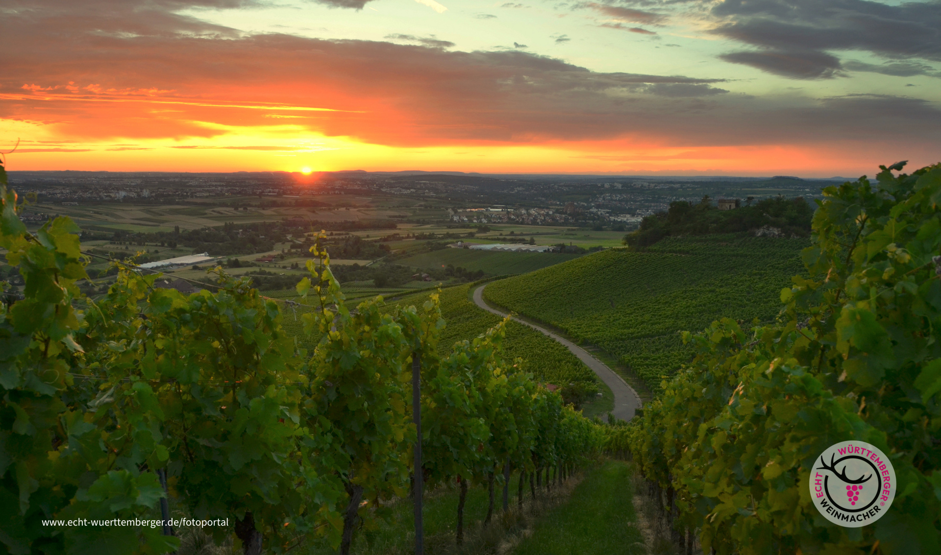 Sundowner