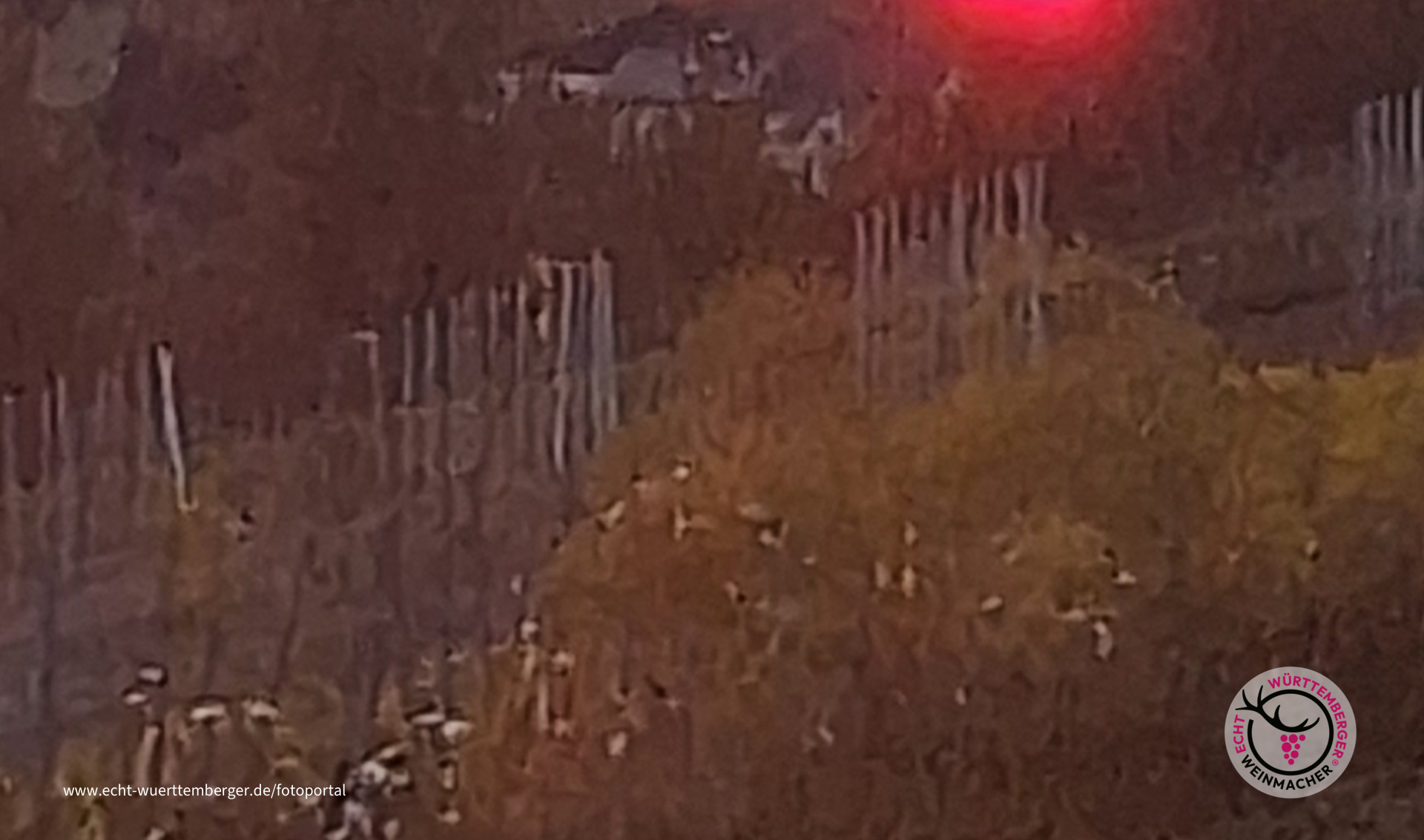 Sonnenuntergang über Kressbronn