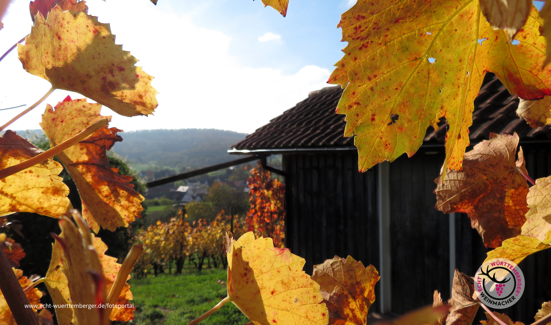 Herbst