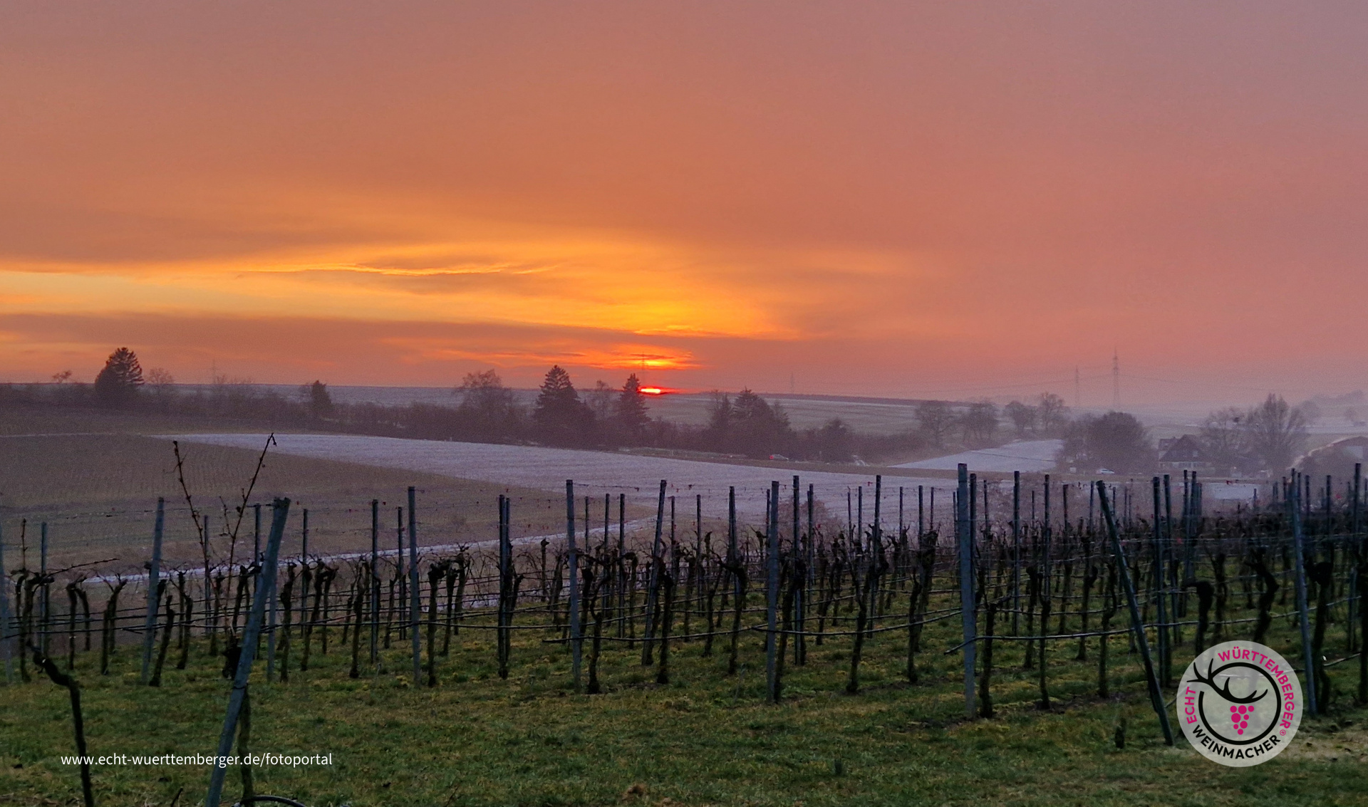 Feierabend-Stimmung im Weinberg