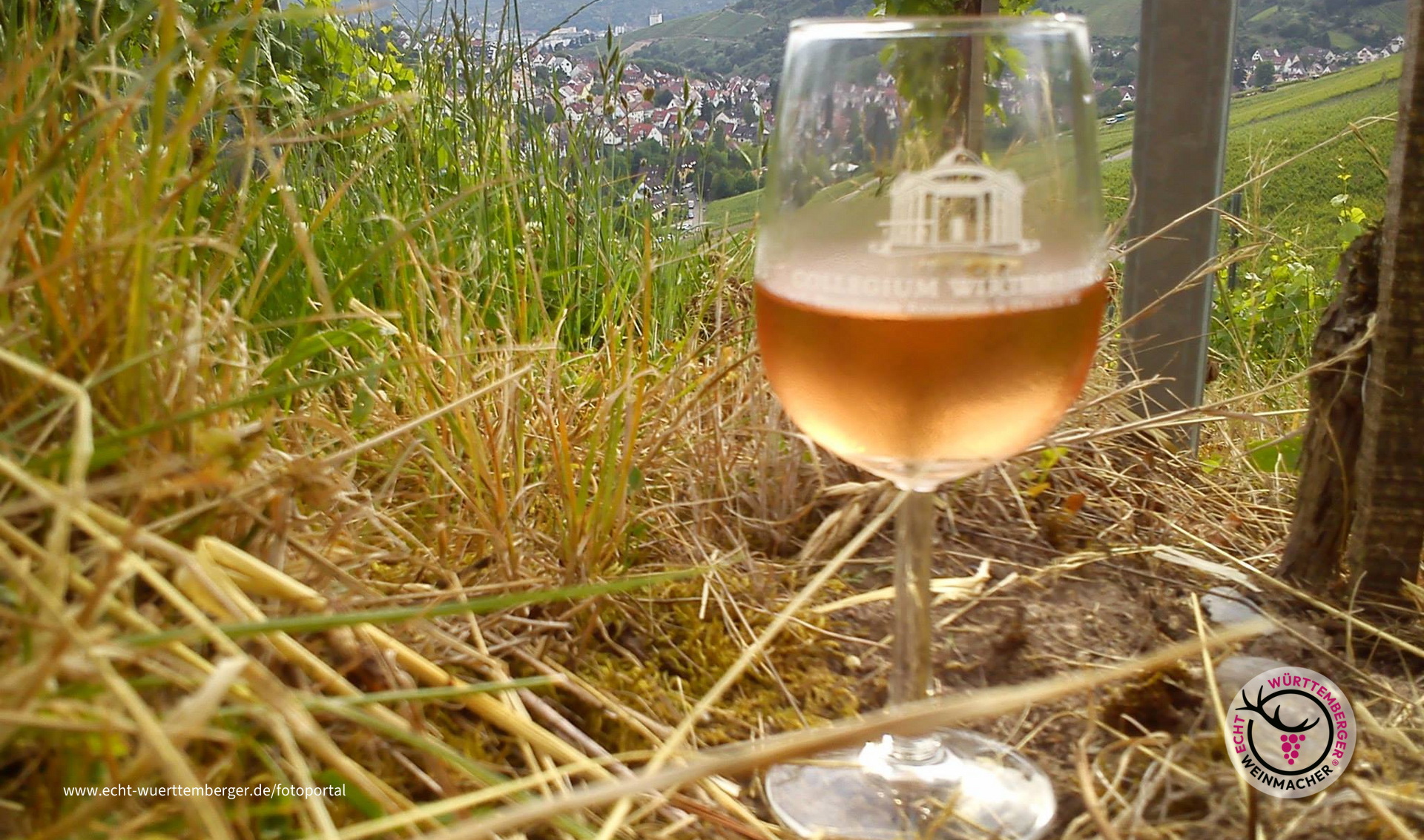 Weinwandertag am Götzenberg