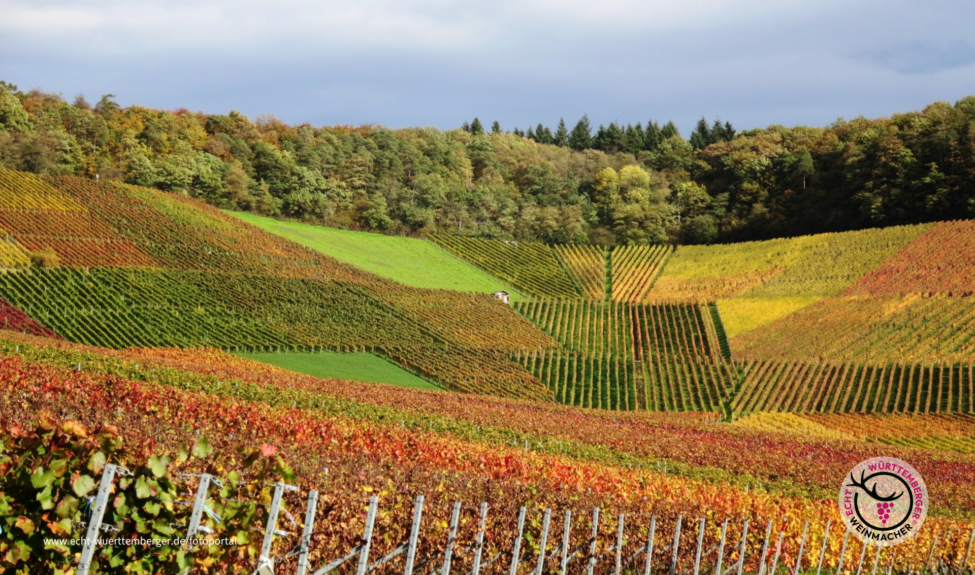 Bei Neipperg Herbst 2017