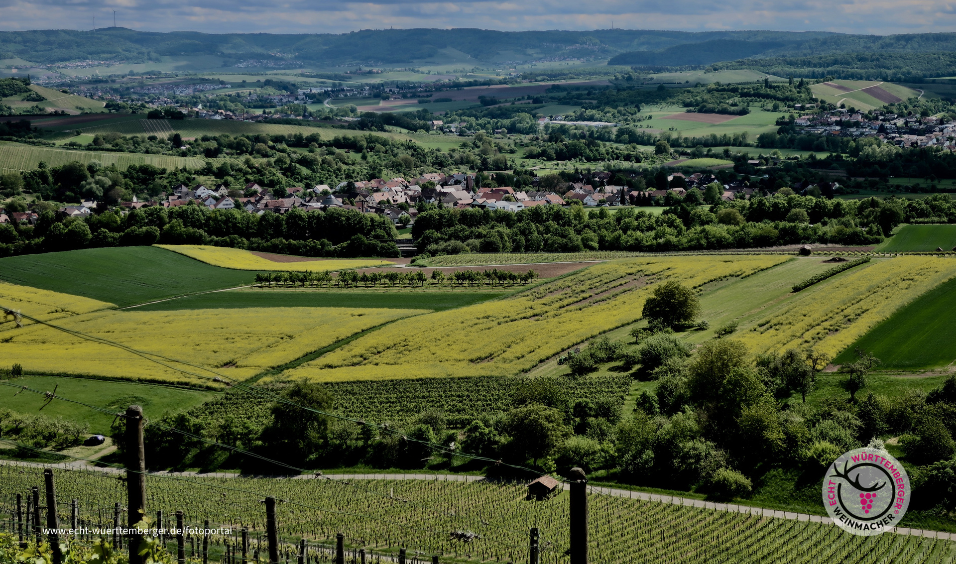 Im Trollingerländle