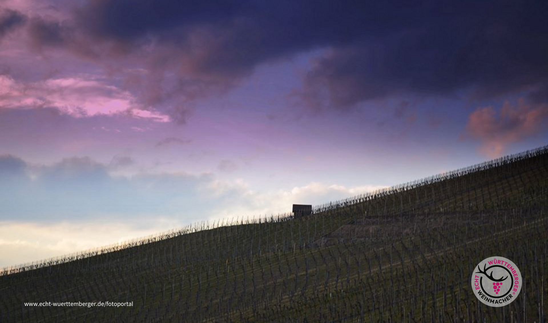 Weinabend