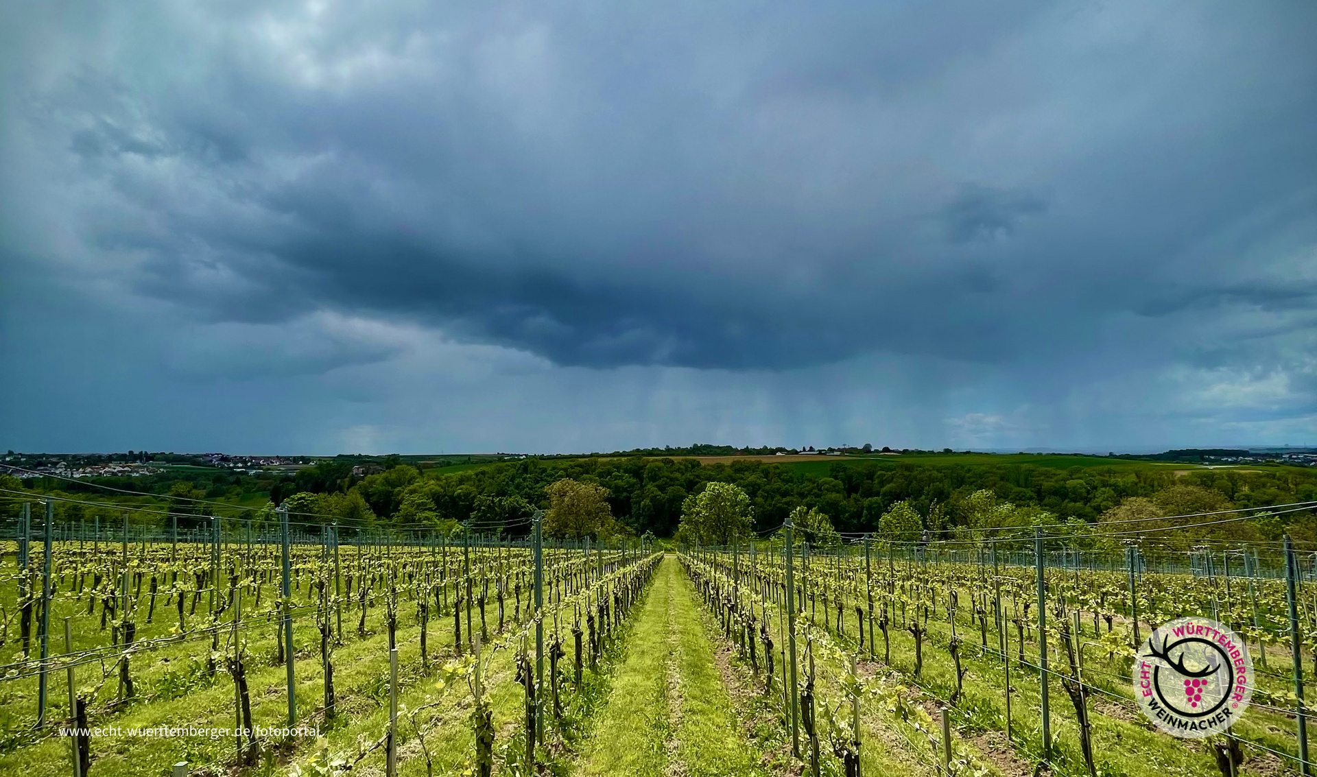 Da kommt Regen für die Reben