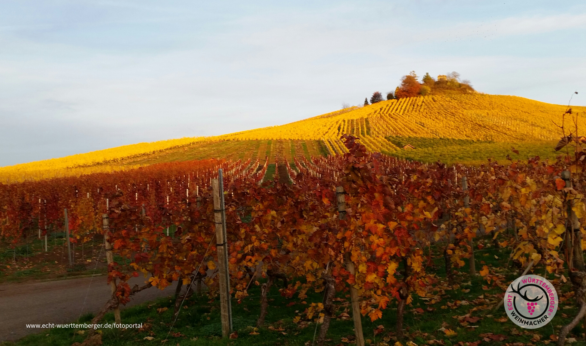 Endersbacher Sonnenbühl