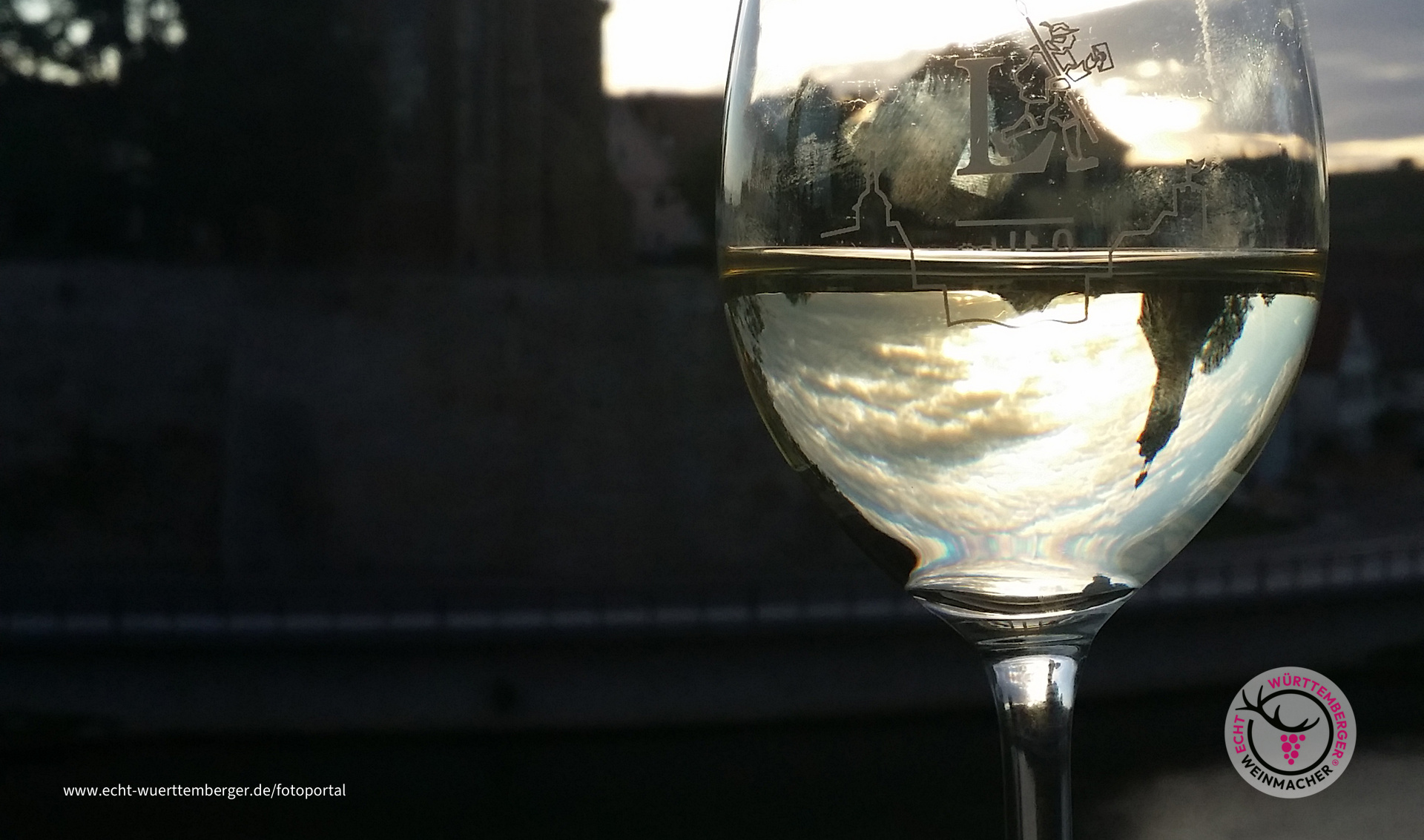 Wein auf der Insel in Lauffen am Neckar