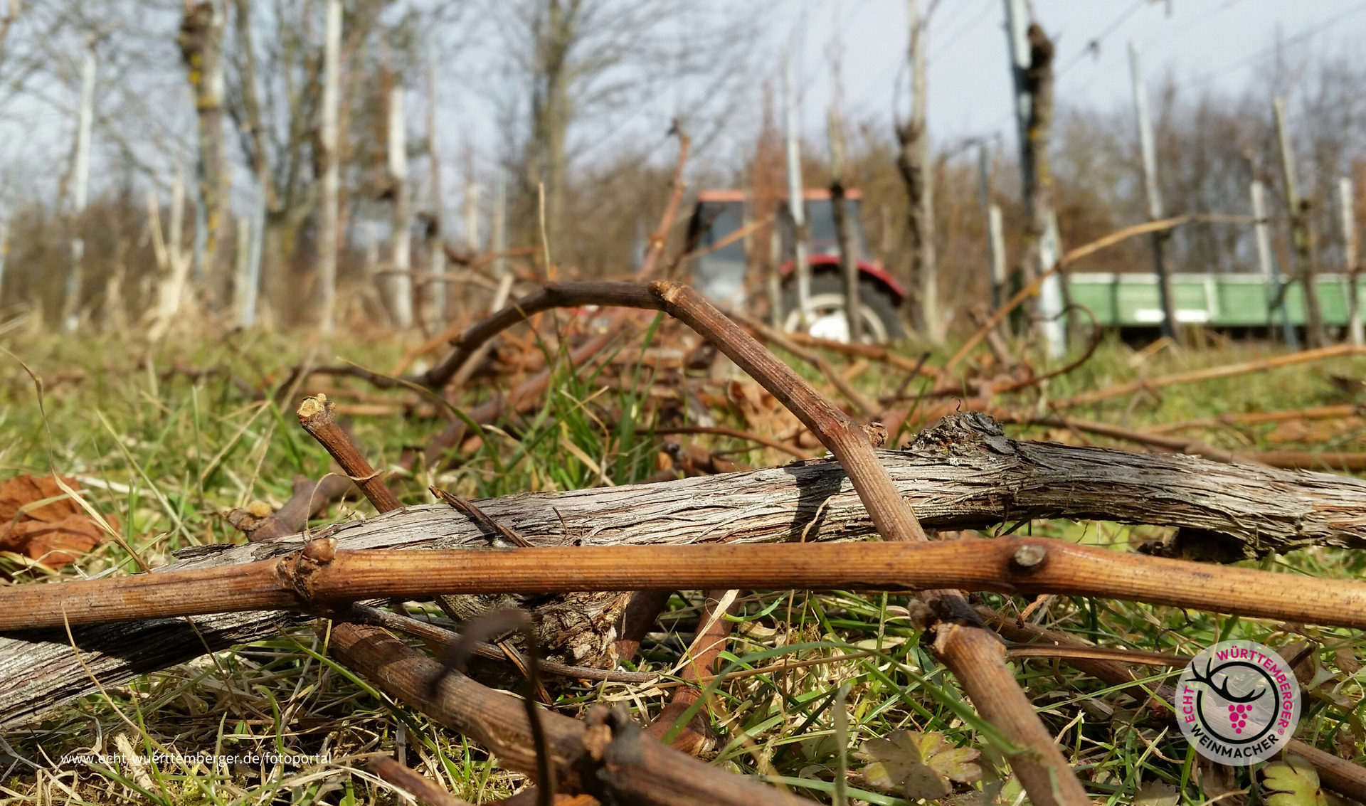 Vom Eise befreit ...