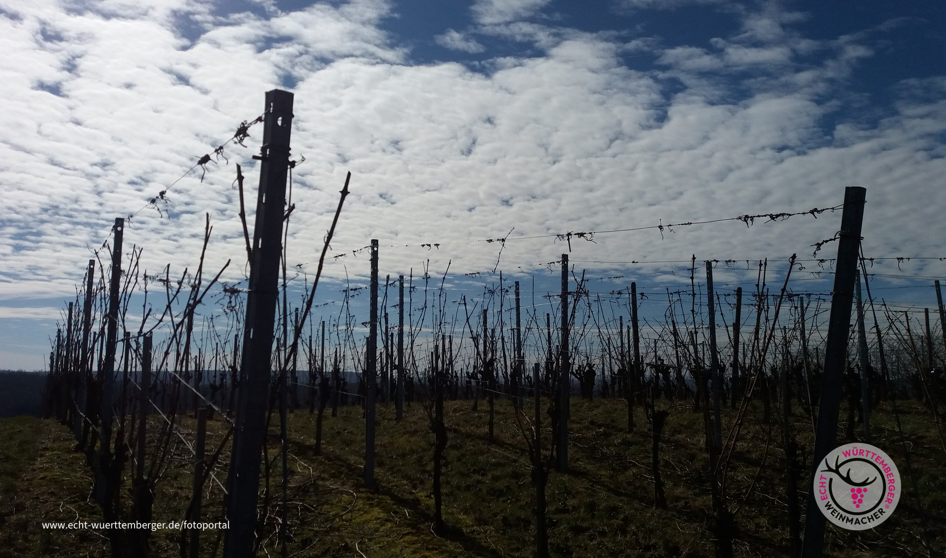 Frühjahr im Kraichgau