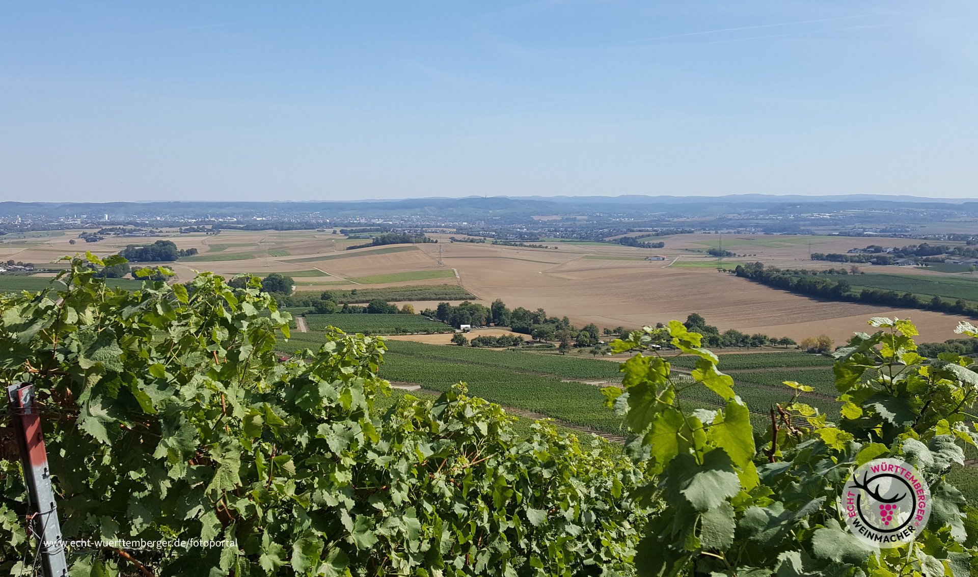 Ausblick Heuchelberger Warte