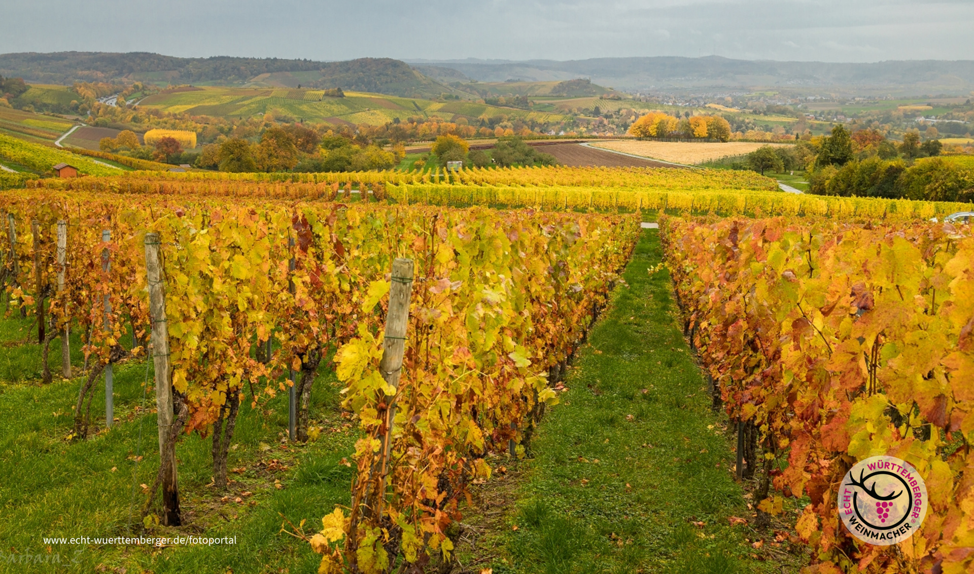 Spaziergang im Regen