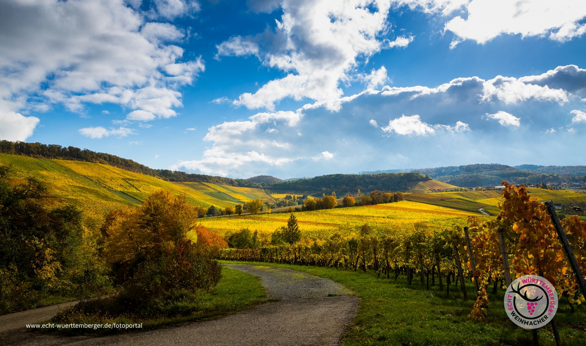 Mitten drin im Weinsberger Tal