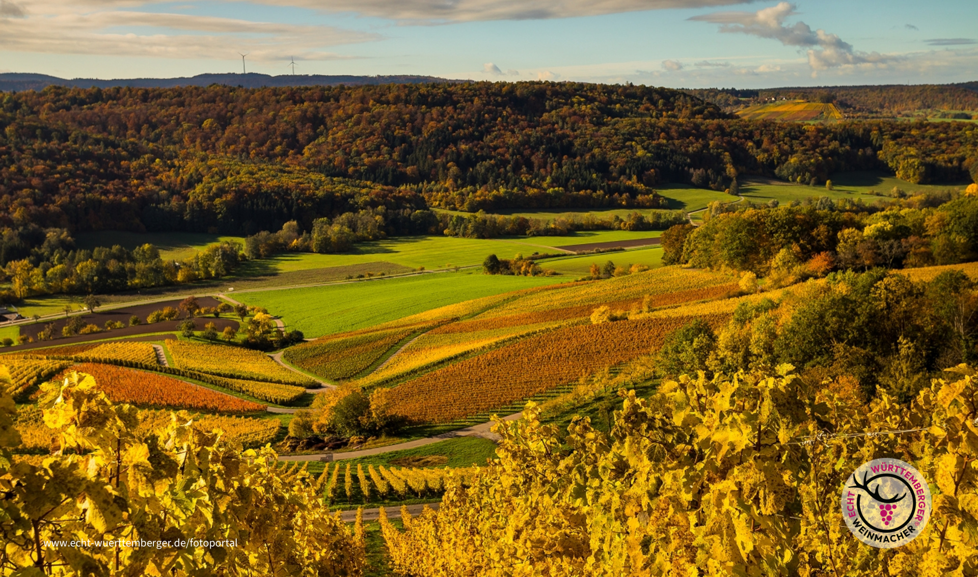 Herbst bedeutet Farbe