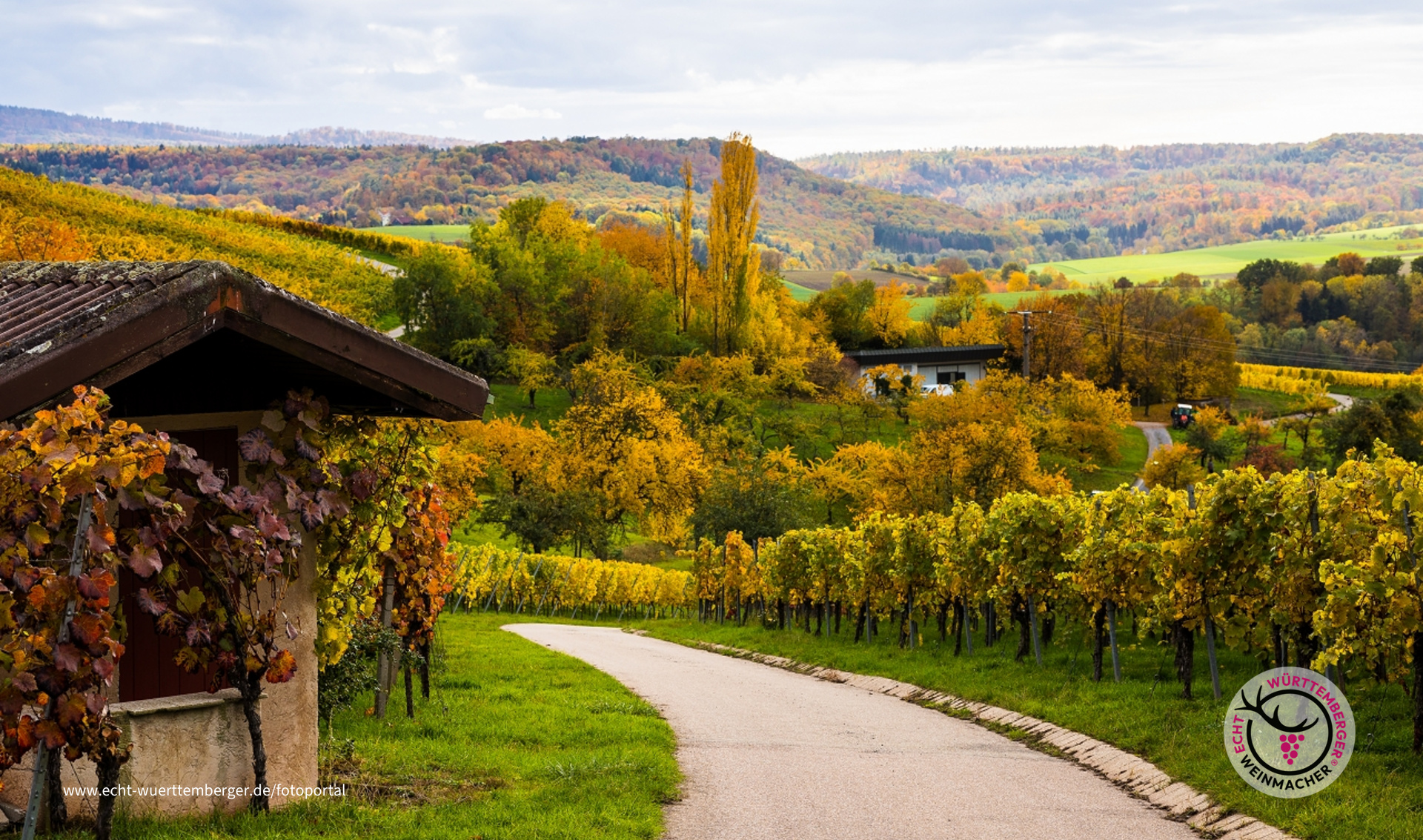 Es ist Herbst in der Toscana oder ist es doch Hohenlohe ;-)