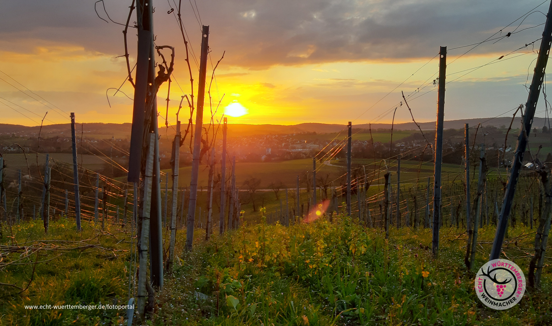 Sonnenuntergang am Lindelberg (2)