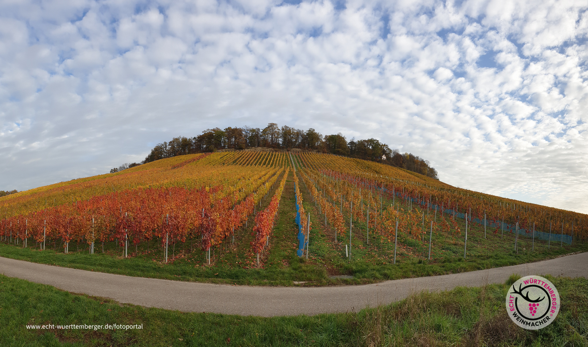 Am Fuße des Lembergs