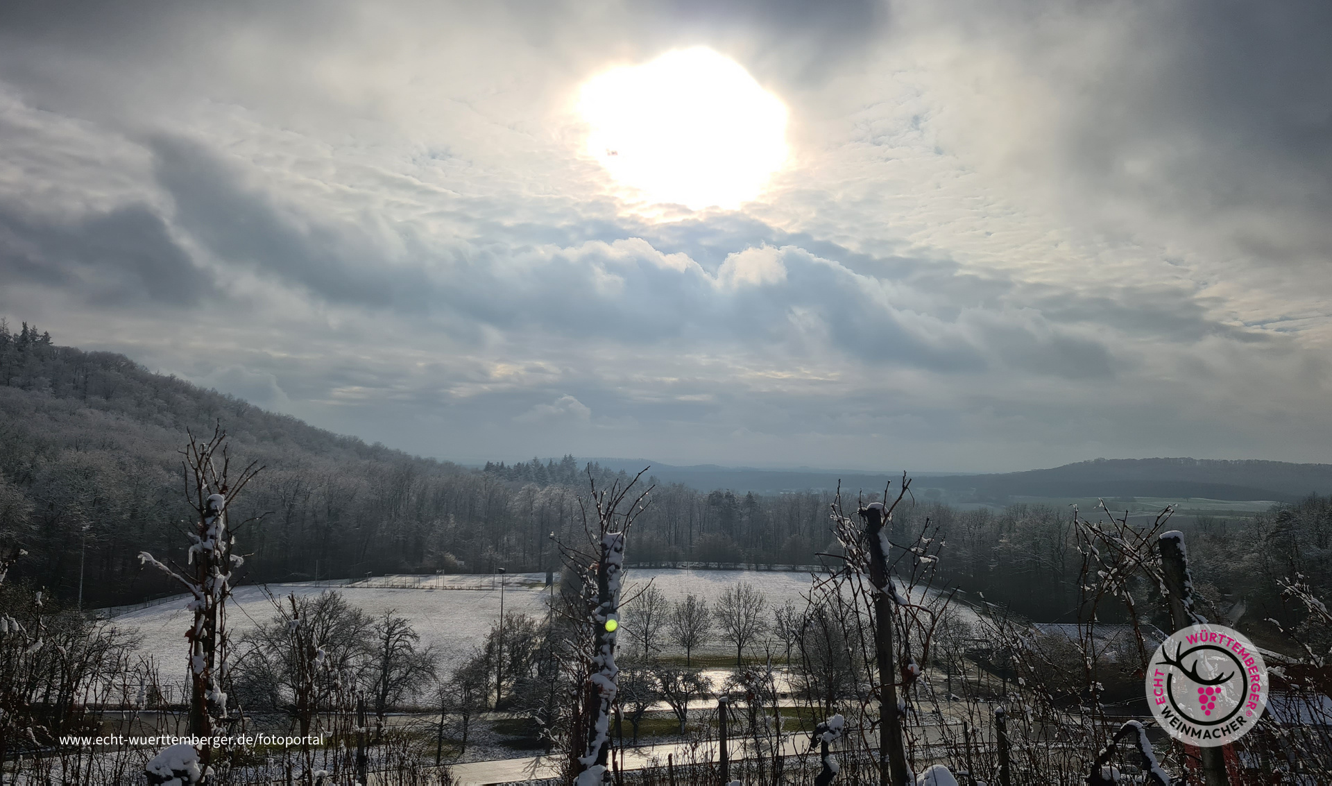 Sternenfelser König im Eis