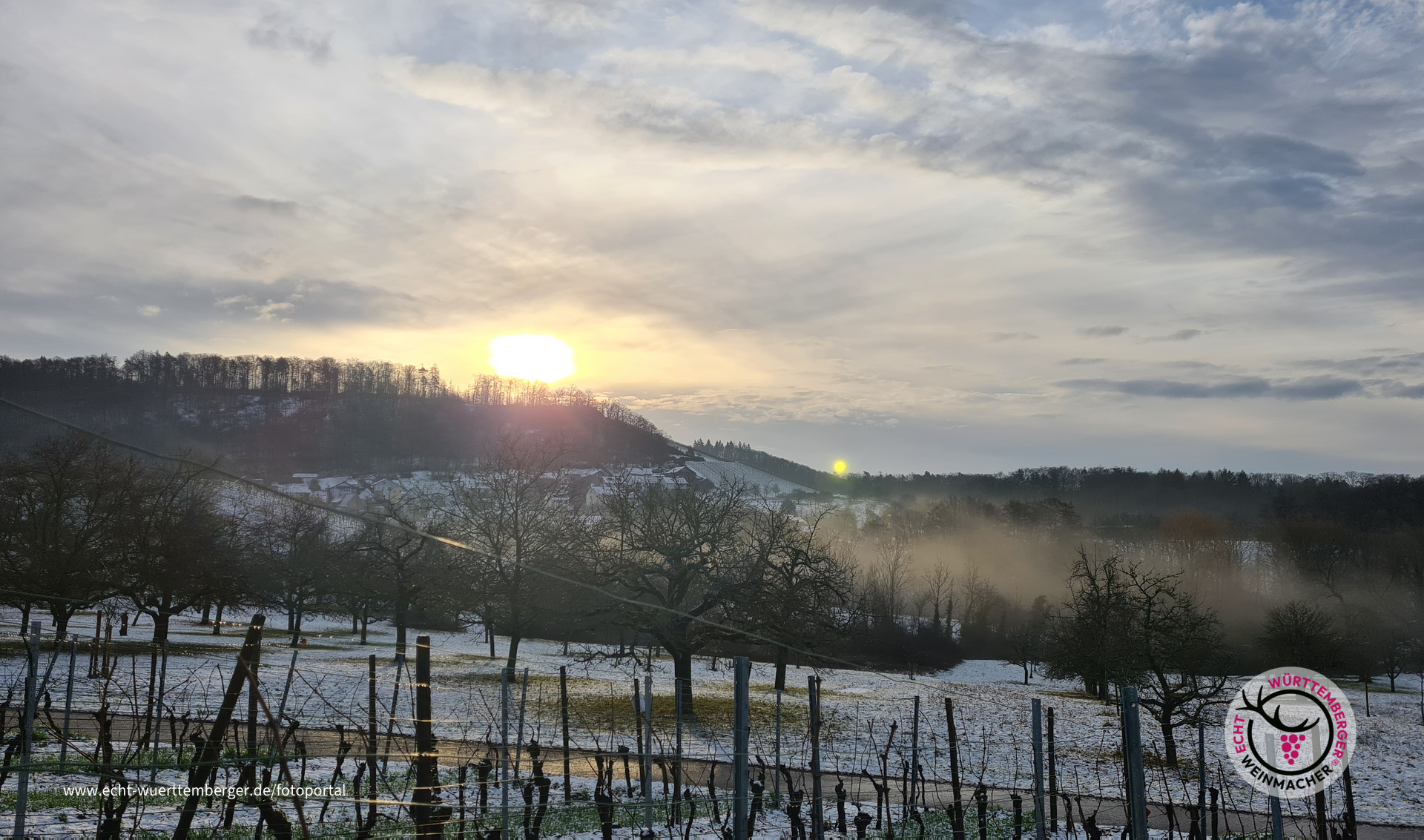 Vogelsang am Morgen